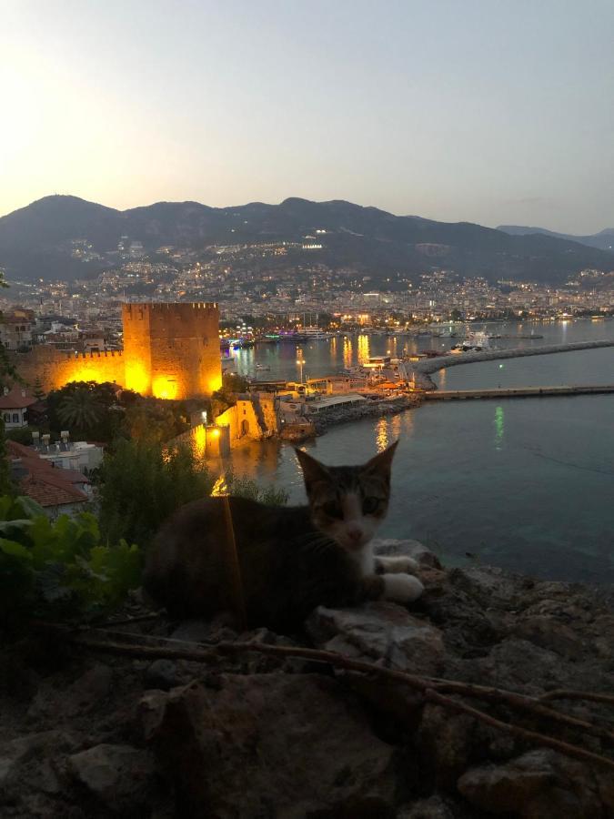 Harmony Butik Otel Alanya Eksteriør billede